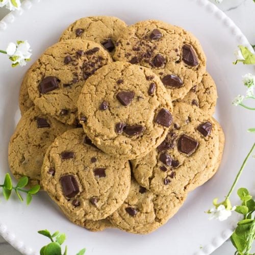 One-Bowl Low FODMAP Peanut Butter Oatmeal Chocolate Chunk Cookies with ...