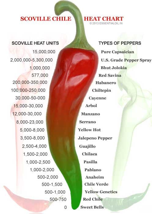 All About Chile, Chili & Chilli & The Low FODMAP Diet - FODMAP Everyday