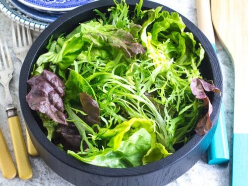 https://www.fodmapeveryday.com/wp-content/uploads/2020/03/No-FODMAP-Leafy-Green-Salad-in-wooden-bowl-500x375.jpg