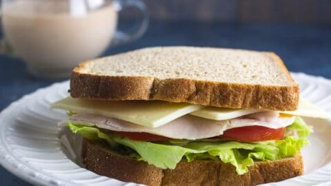 plain turkey sandwich