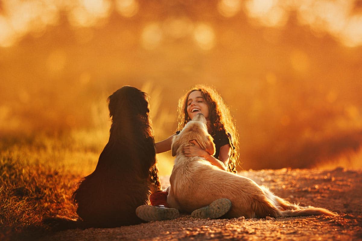 woman at sunset with 2 dogs.