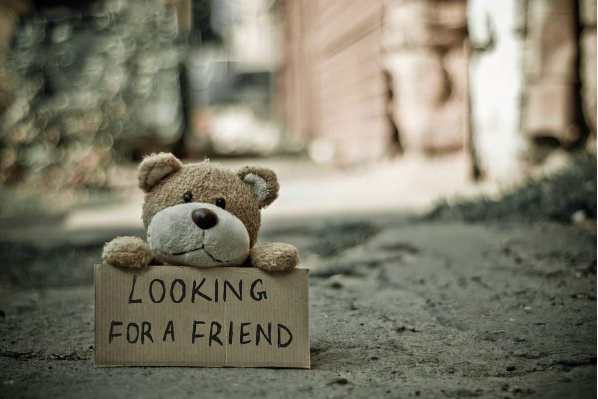 Looking For A Friend Bear