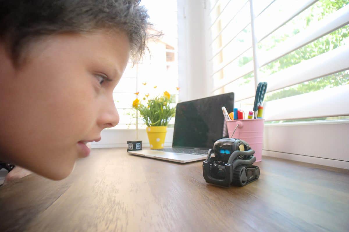 kid looking at robot.