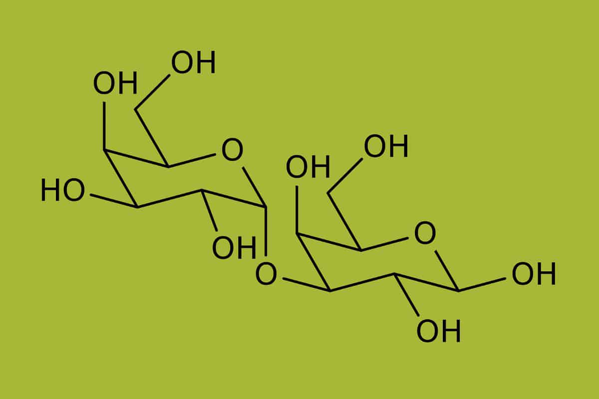 alpha-gal molecule.