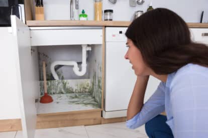 Woman looking at mold under her counter