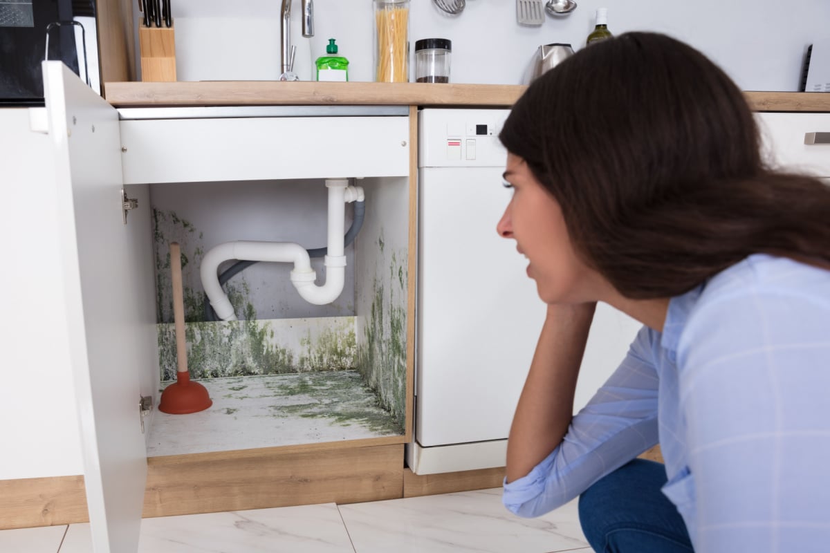 Woman looking at mold under her counter 