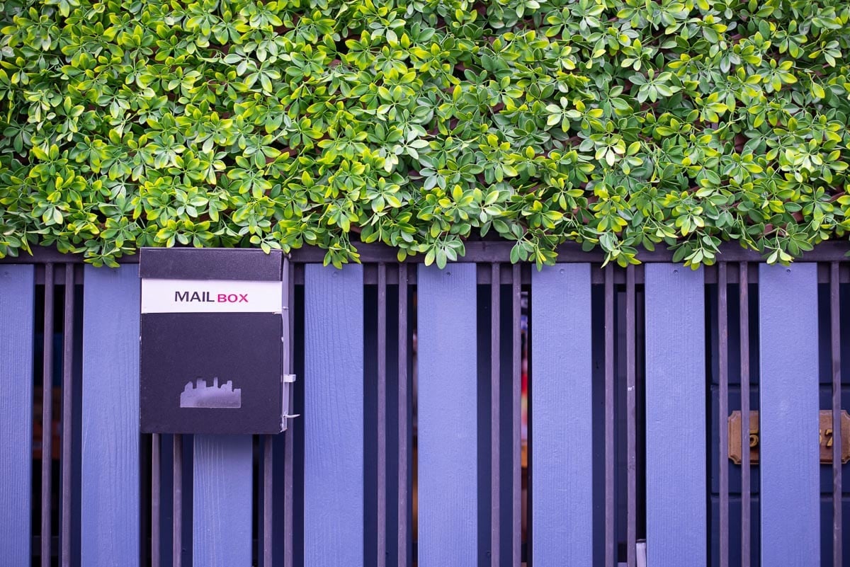 Purple fence and mailbox.