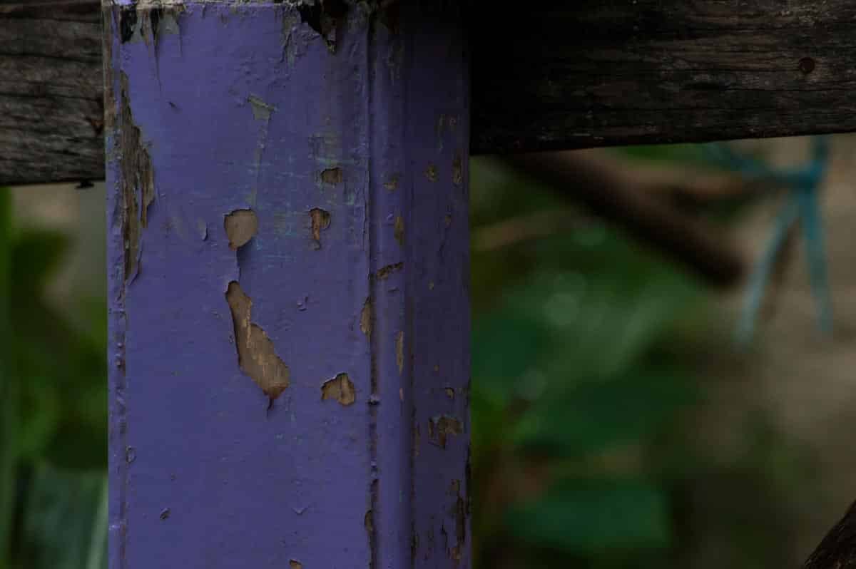 Purple fence post.