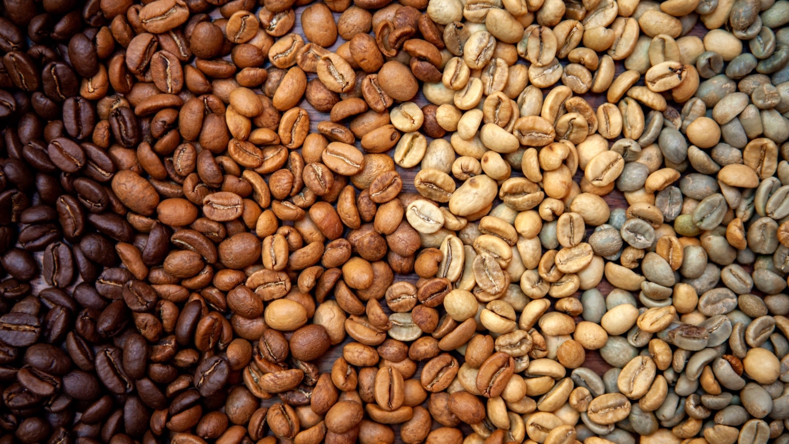Types of coffee beans.