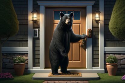An illustrated scene of a black bear standing ringing a doorbell