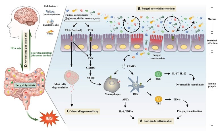 mycobiome.