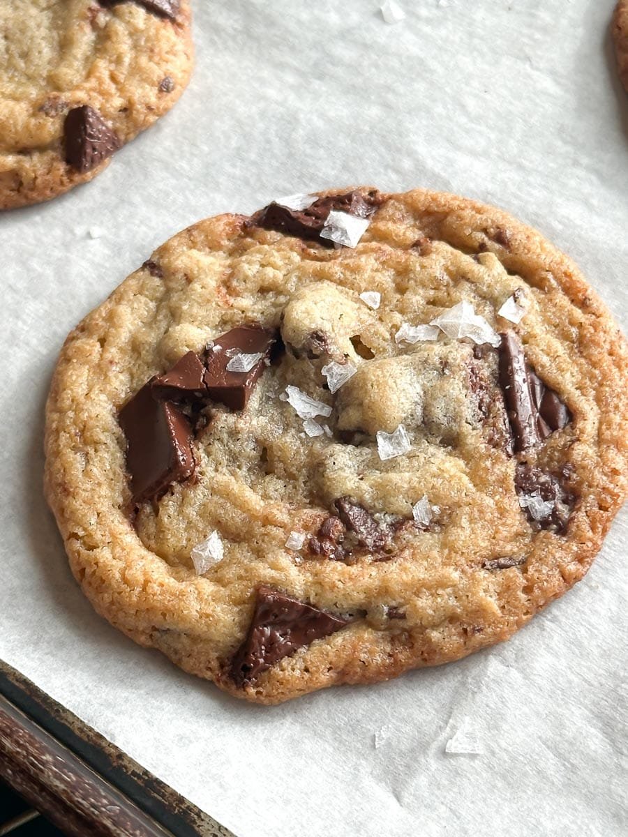 close up of salted cookie on pan.